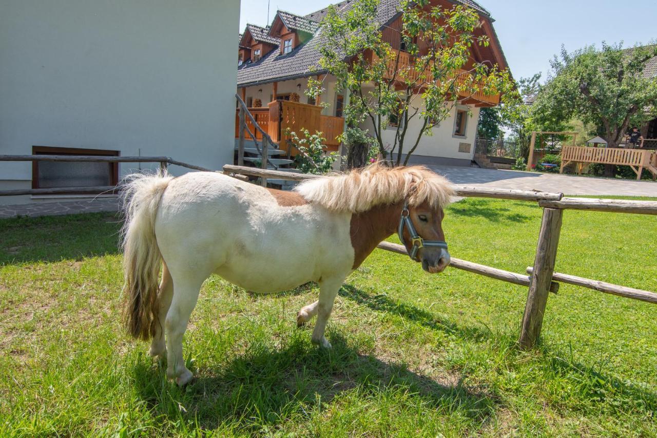 Tourist Farm Pri Biscu Villa Bled Exterior foto